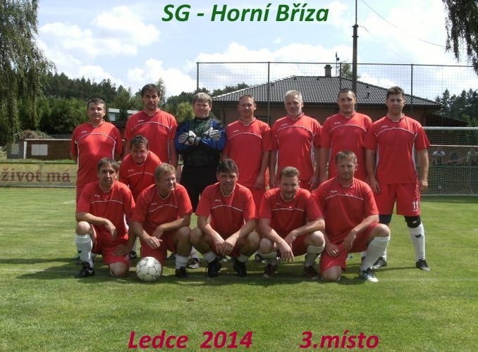 SG-Ledce-2014-orez